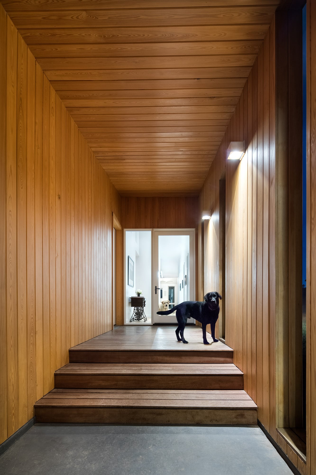 wood feature hallway and entry in the Self-sustaining home in Wimberley Texas