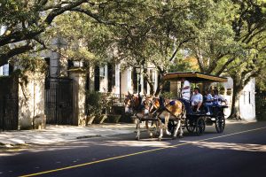 Discovering Charleston