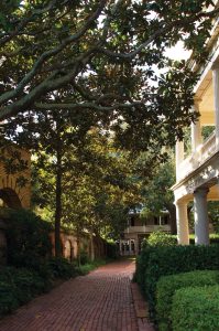 Discovering Charleston