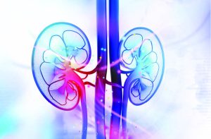 4-16 Wellness_Kidneys_web3