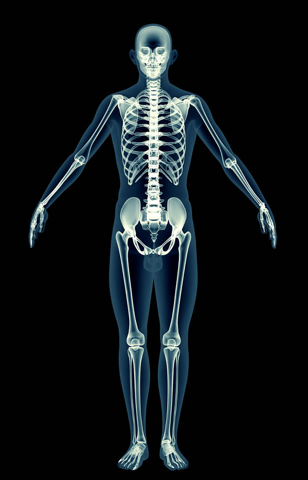 Is a Full-Body Scan a Good Stop on the Road to Wellness?