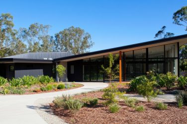Drought-Savvy Gardening