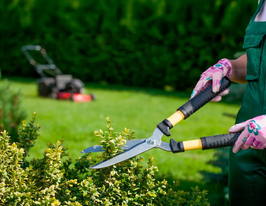 Get Your Yard Summer-Ready
