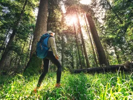 woman hiking through forest Enhance your mind Prioritizing Your Mental Health wellness
