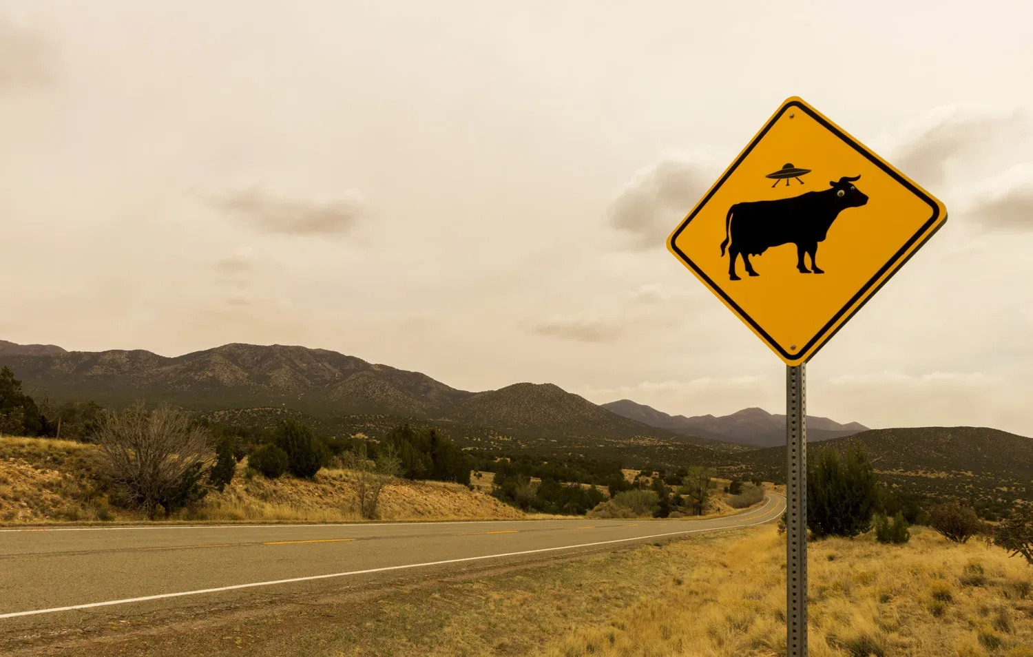 Weird, Wacky, and Wonderful Roswell, New Mexico - Living Magazine