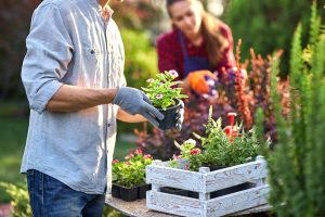 Guy gardener in garden gloves puts the pots with seedlings in the white wooden box on the table and a girl prunes plants in the wonderful nursery garden on a sunny day Guy gardener in garden gloves puts the pots with seedlings in the white wooden box on the table and a girl prunes plants in the wonderful nursery garden on a sunny day