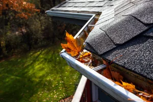 Maintenance issue - Aleaves in a rain gutter on a roof can lead blocked gutters causing water to pool, mold & mildew