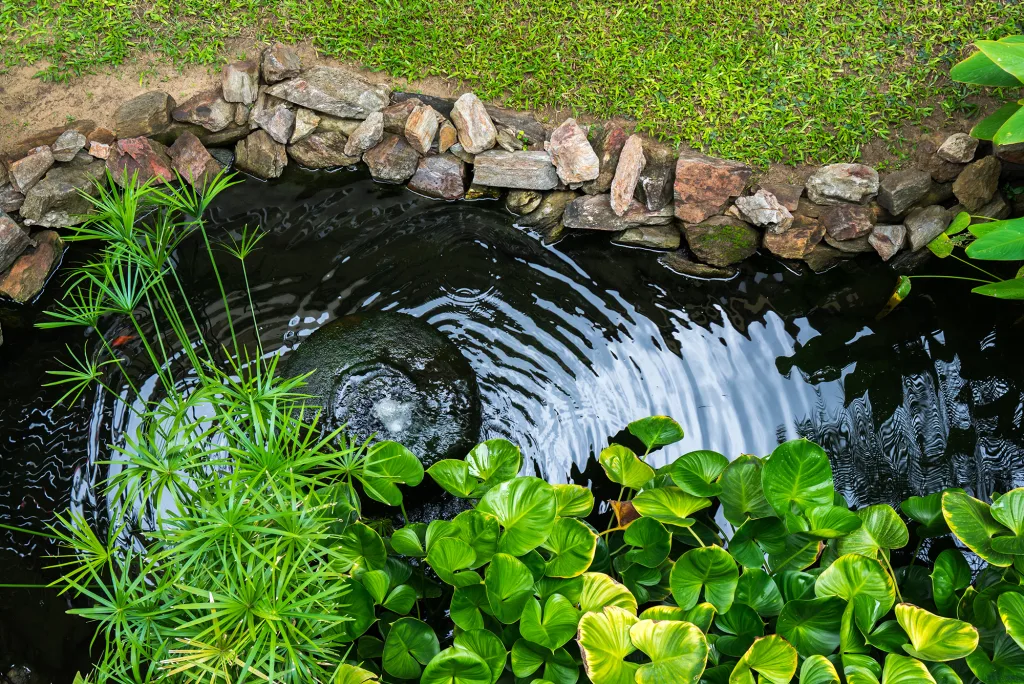 AdobeStock 286732071 copy AdobeStock 286732071 copy