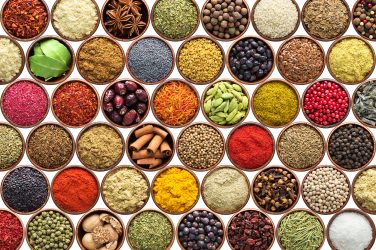 various condiments isolated on white background spices and herb