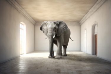 Unity and the Elephant in the Room