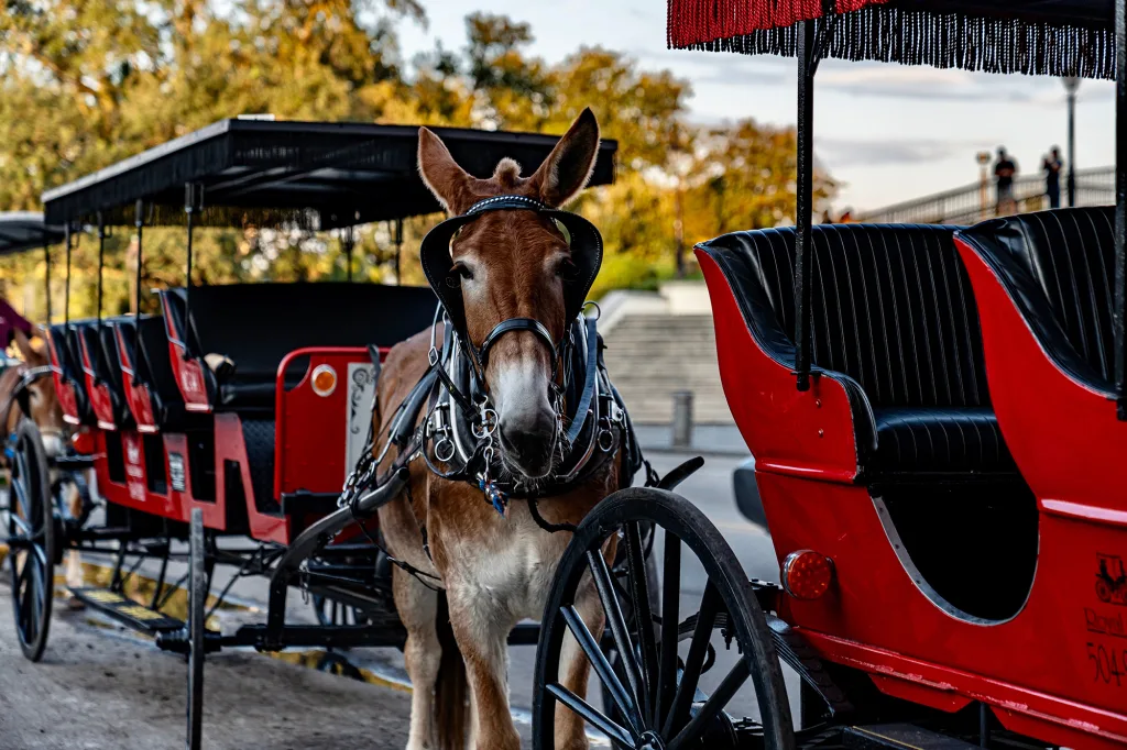 AdobeStock 982890562 copy AdobeStock 982890562 copy