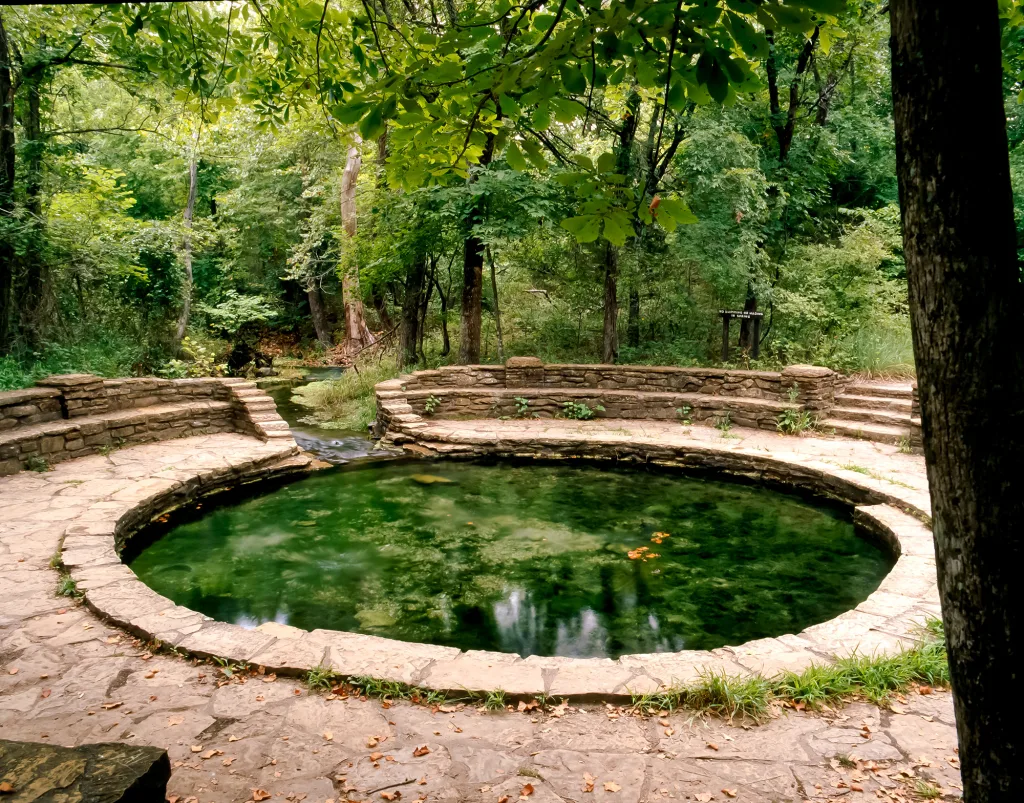 Buffalo Springs copy