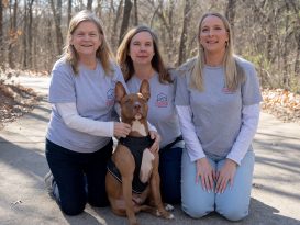 Peace of Mind for Pet Parents