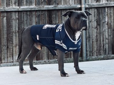 Dak