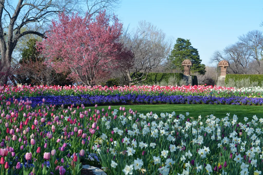 Dallas Arboretum copy