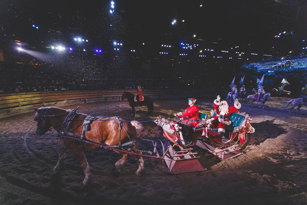 Dolly Partons Stampede copy