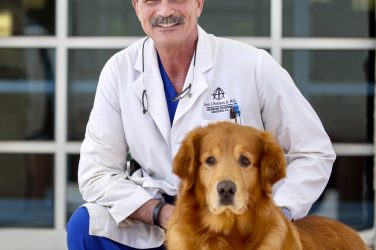 Arlington Orthopedics Associates Frank Rodriguez, MD
