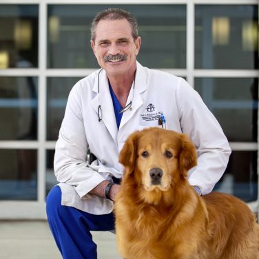 Arlington Orthopedics Associates Frank Rodriguez, MD