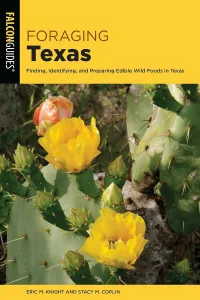 Foraging Texas copy Foraging Texas copy