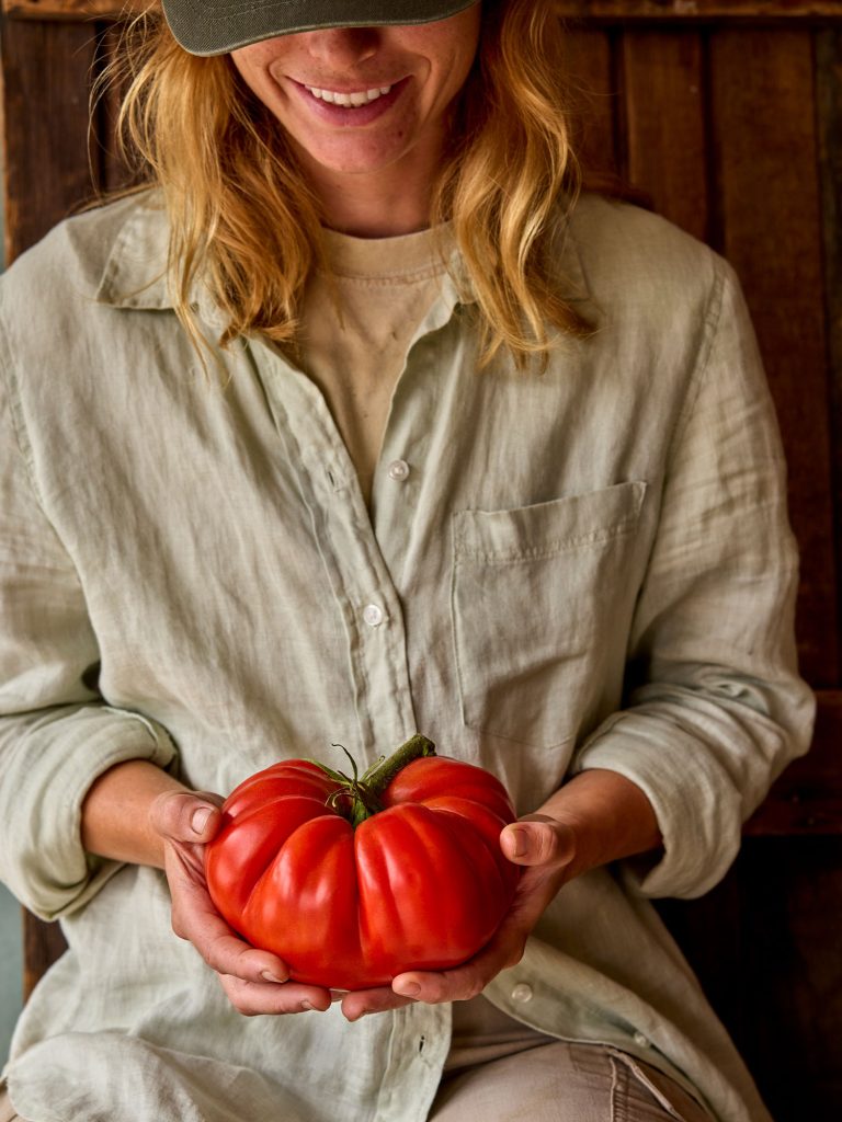 Groundswell Tomato copy