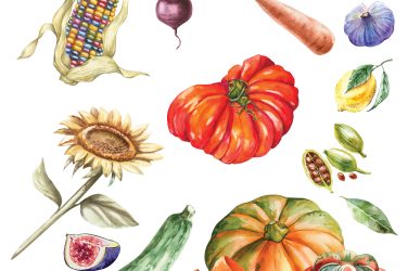 Homestead Rooted in Tradition The Fun & Function of Heirloom Plants