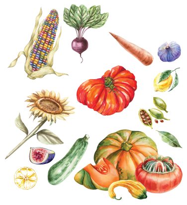 Homestead Rooted in Tradition The Fun & Function of Heirloom Plants