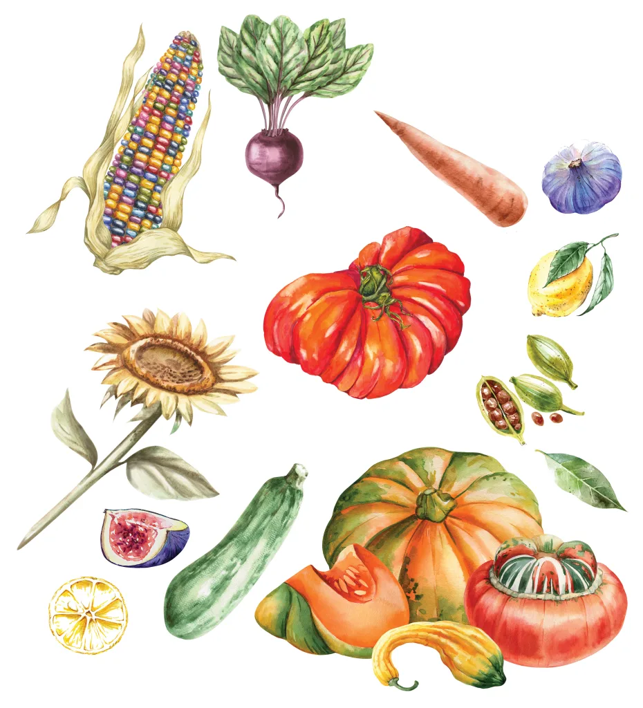 Homestead Rooted in Tradition 321p Homestead Rooted in Tradition The Fun & Function of Heirloom Plants