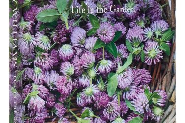 Life in the Garden