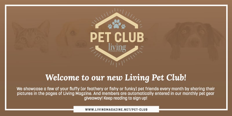 Living-Magazine-Pet-Club