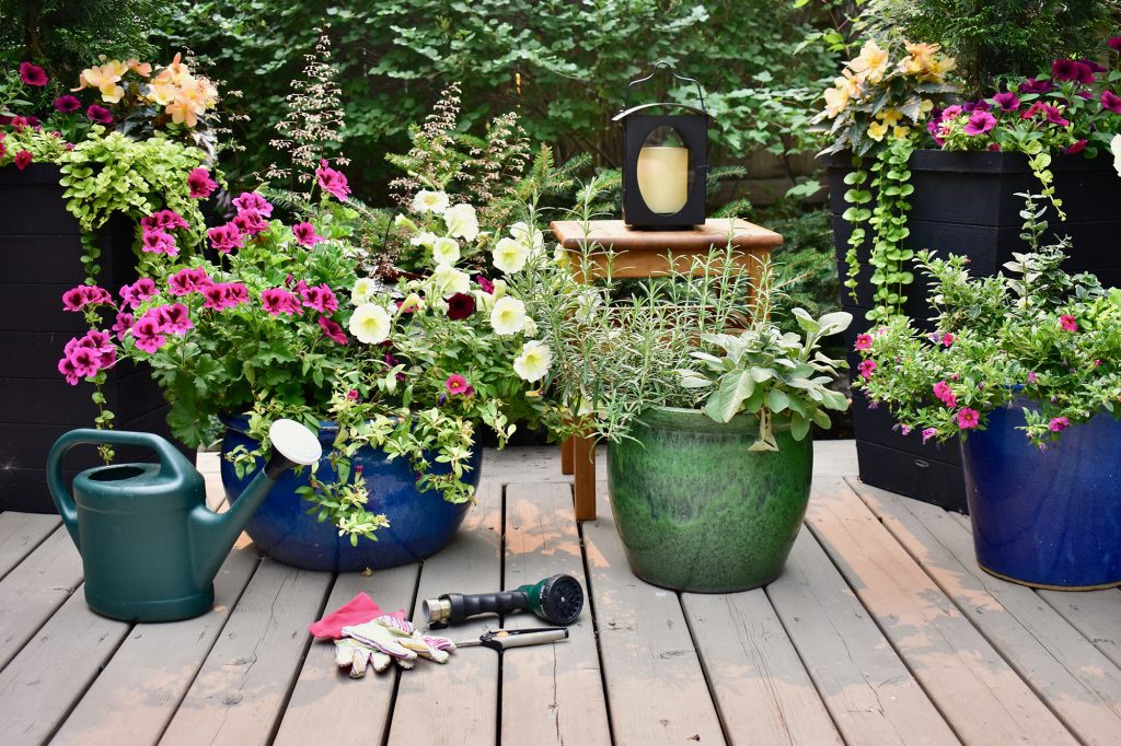 Garden tools and watering can with summer flowering planters in