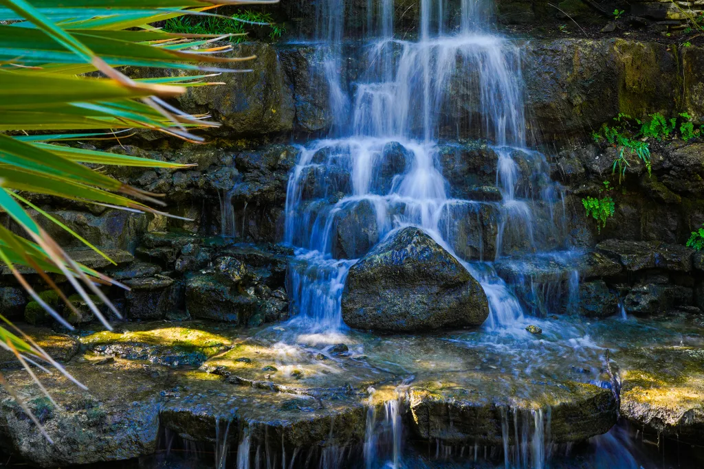 Matthew Bradford Zilker Botanical Garden Conservancy Matthew Bradford copy