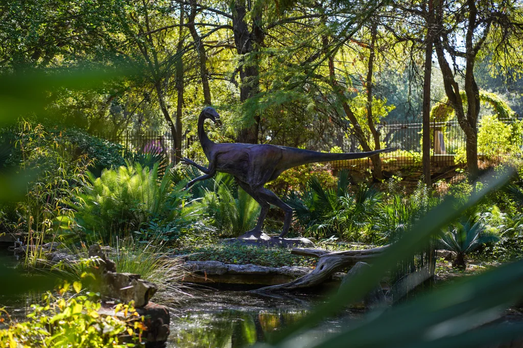 Matthew Bradford via Zilker Botanical Garden Conservancy 1 Matthew Bradford copy