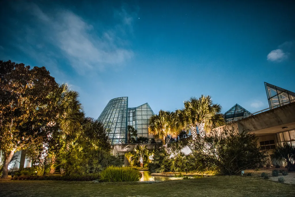 View More: https://limelightsa pass us/botanical gardens night