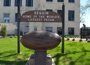 SeguinPecan