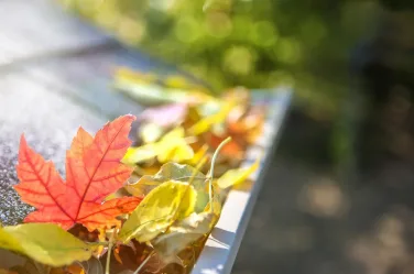 Easy home chores you can do in a weekend