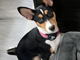 Xena