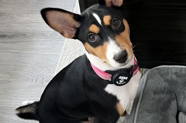 Xena