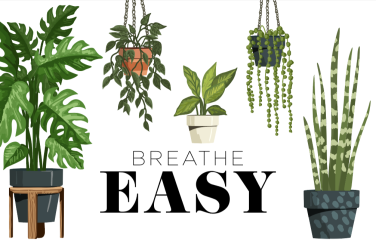 breathe easy feature