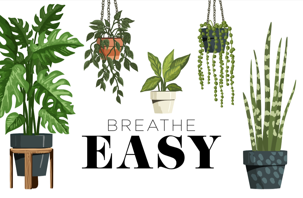 breathe easy feature