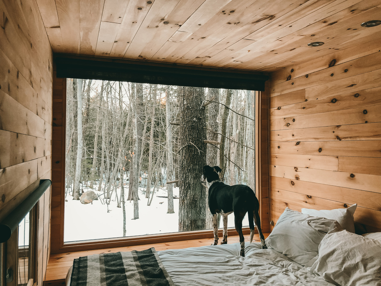 tiny cabin vacation retreat in the woods